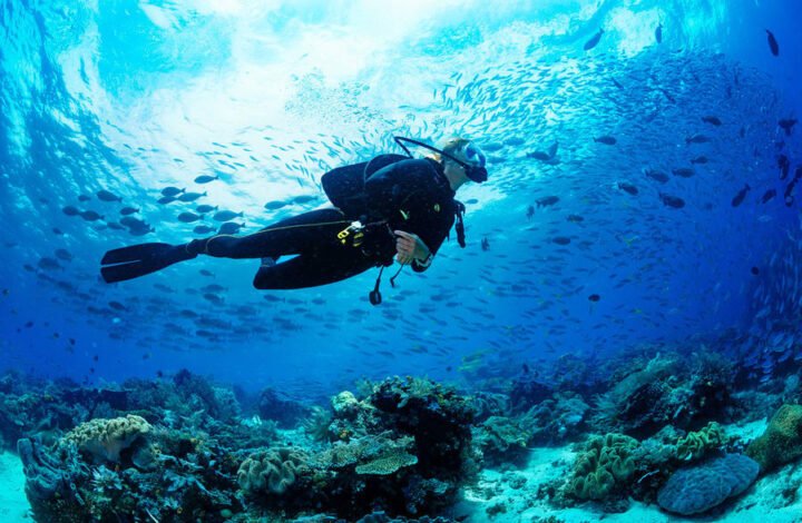 Grand Island Scuba Diving in Goa