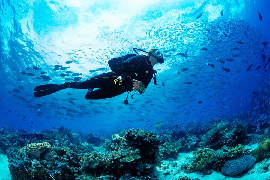 Grand Island Scuba Diving in Goa
